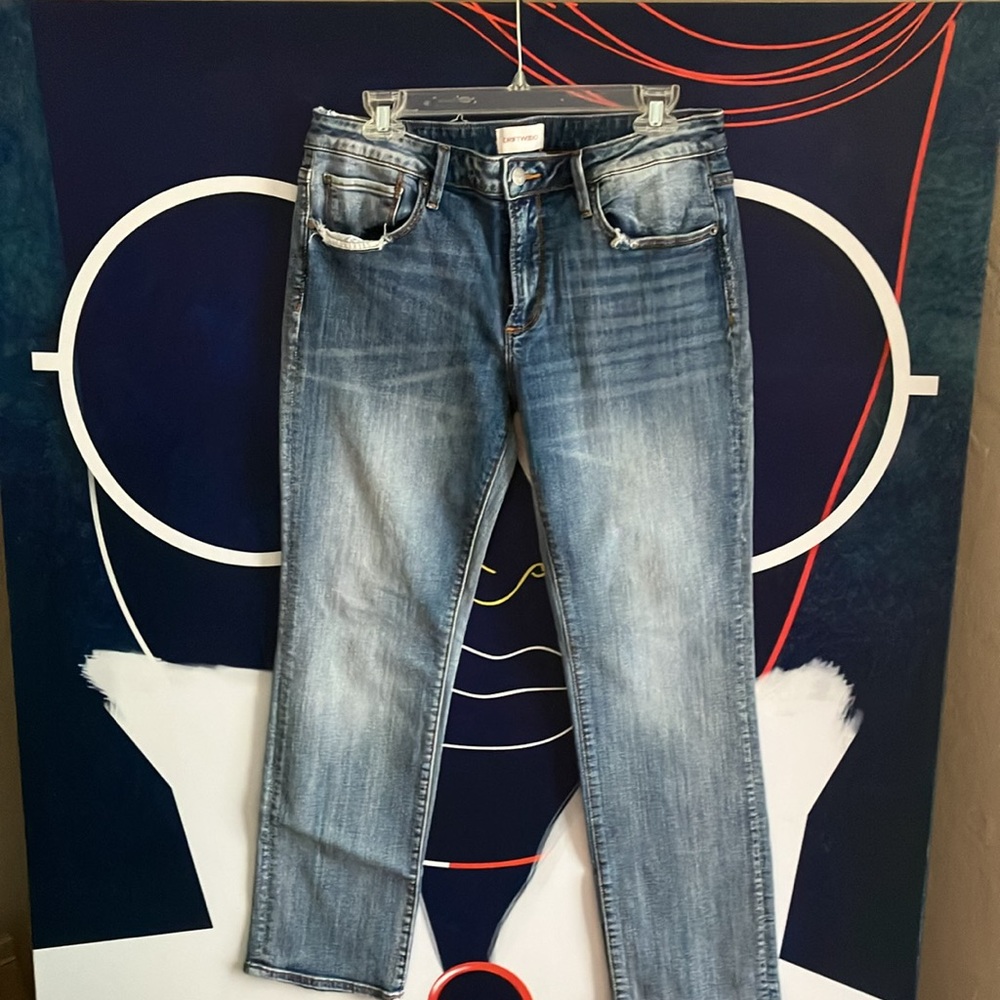 Driftwood Audrey Straight Leg Jeans - 31x29 RARE INSEAM!!